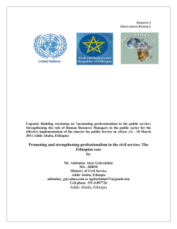 Promoting and strengthening professionalism in the civil service