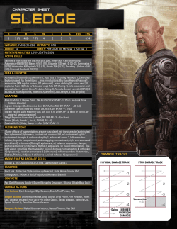 Shadowrun: Sledge QSR Character Sheet