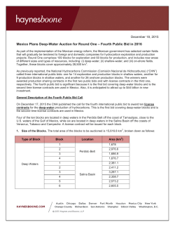 Section 1 - Haynes and Boone, LLP