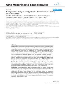 A longitudinal study of Campylobacter distribution in a turkey