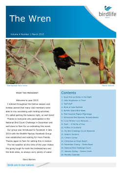 The Wren - Birdlife Australia