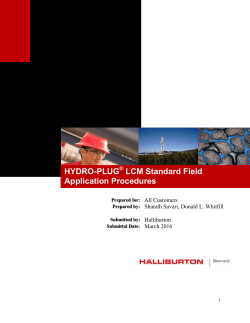 HYDRO-PLUG LCM Standard Field Application