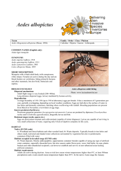 Aedes albopictus - Delivering Alien Invasive Species Inventories for