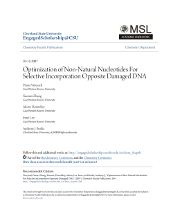 Optimization of Non-Natural Nucleotides For Selective Incorporation