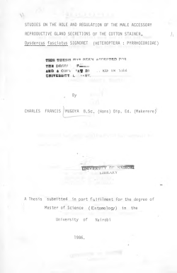 Studies On The Role And Regulation Of The Male