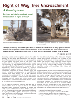 Right of Way Tree Encroachment