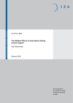 The Welfare Effects of Asset Means-Testing Income Support