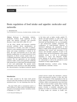 Brain regulation of food intake and appetite: molecules and networks
