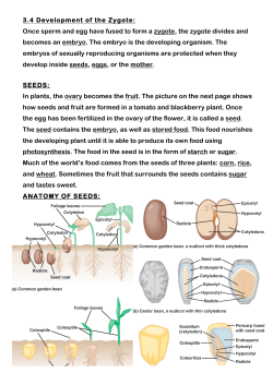 3.4 Dev of Zygote (KEY) Notes