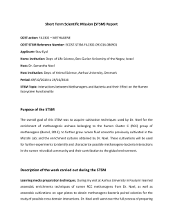 Stav Eyal - Methagene