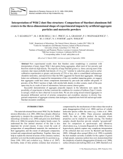 Interpretation of Wild 2 dust fine structure