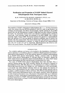 Purification and Properties of NADP+-linked Glycerol