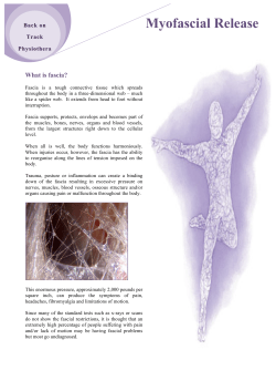 Myofascial Release - Back on Track Physiotherapy and Sports Injury