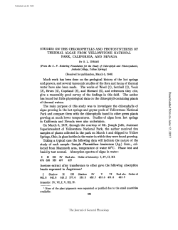 STUDIES ON THE CHLOROPHYLLS AND PHOTOSYNTHESIS OF