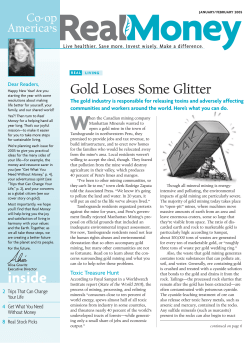 Real Money Newsletter, Jan/Feb 2005