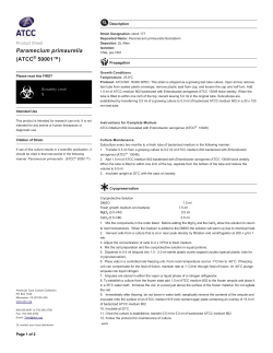 Paramecium primaurelia (ATCC&reg; 50001&trade;)