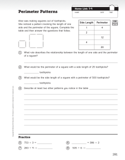 Perimeter Patterns
