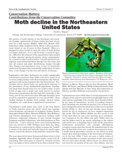 Moth decline in the Northeastern United States