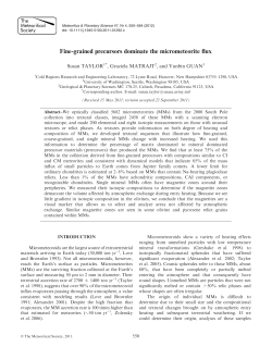 Finegrained precursors dominate the micrometeorite flux