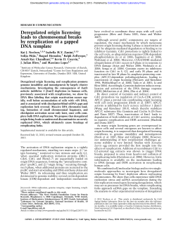 Deregulated origin licensing leads to chromosomal breaks by