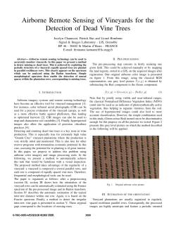 Airborne Remote Sensing of Vineyards for the Detection of Dead