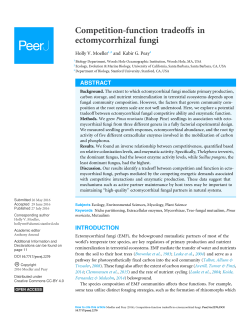Competition-function tradeoffs in ectomycorrhizal fungi