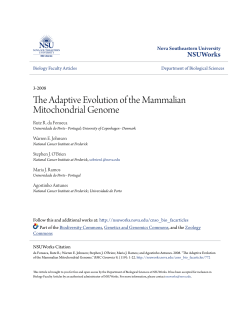 The Adaptive Evolution of the Mammalian