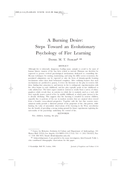A Burning Desire: Steps Toward an Evolutionary Psychology of Fire
