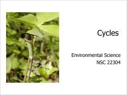 Cycles