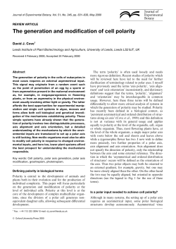 The generation and modification of cell polarity