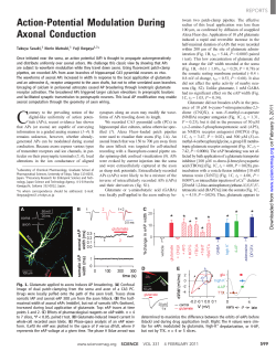 Action-Potential Modulation During Axonal Conduction