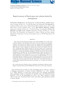 Rapid recovery of Dutch gray seal colonies fueled by immigration