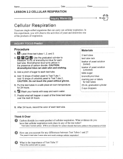 2.2 LABS answers - Issaquah Connect