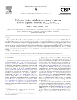 Molecular cloning and characterization of crustacean