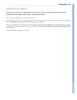 Fluid flows and forces in development: functions, features and