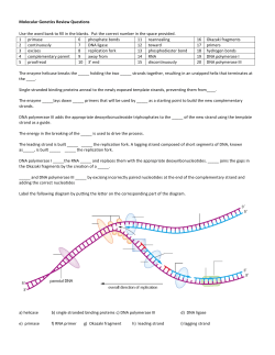 Molecular Genetics Review Questions Use the word