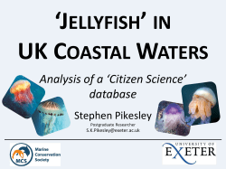 3. Stephen Pikesley Jellyfish Records &ndash; Citizen Science