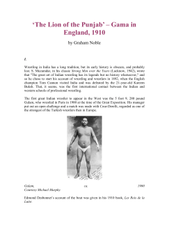 The Lion of the Punjab