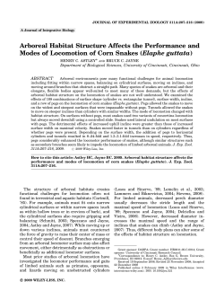 Arboreal Habitat Structure Affects the Performance