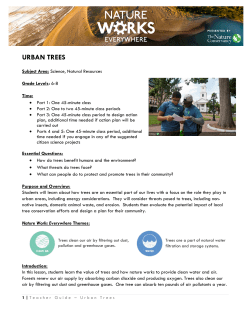 URBAN TREES - natureworkseverywhere.org