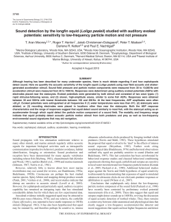 Full Text - CSI - Woods Hole Oceanographic Institution