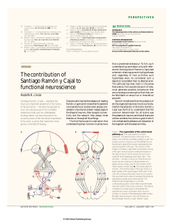 The contribution of Santiago Ram&oacute;n y Cajal to functional neuroscience