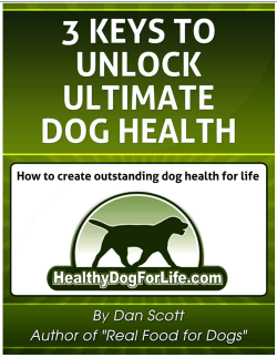 3 Keys to Unlock Ultimate Dog Health by Dan Scott 1
