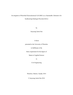 Investigation of Microbial Electrochemical Cell (MEC)