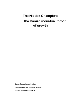 The Hidden Champions- The Danish industrial motor of growth