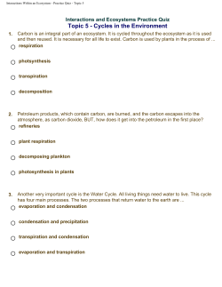 Interactions Within an Ecosystem - Practice Quiz - Topic 5