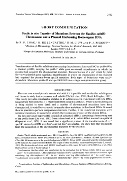 SHORT COMMUNICATION Facile in uiuo Transfer of Mutations