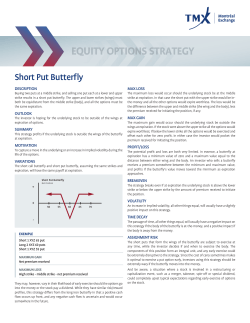 Short Put Butterfly