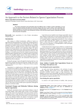 An Approach to the Factors Related to Sperm Capacitation Process