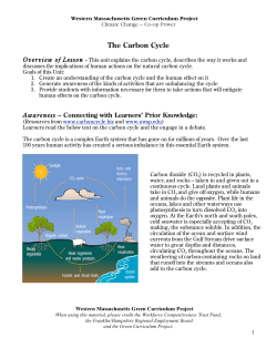The Carbon Cycle